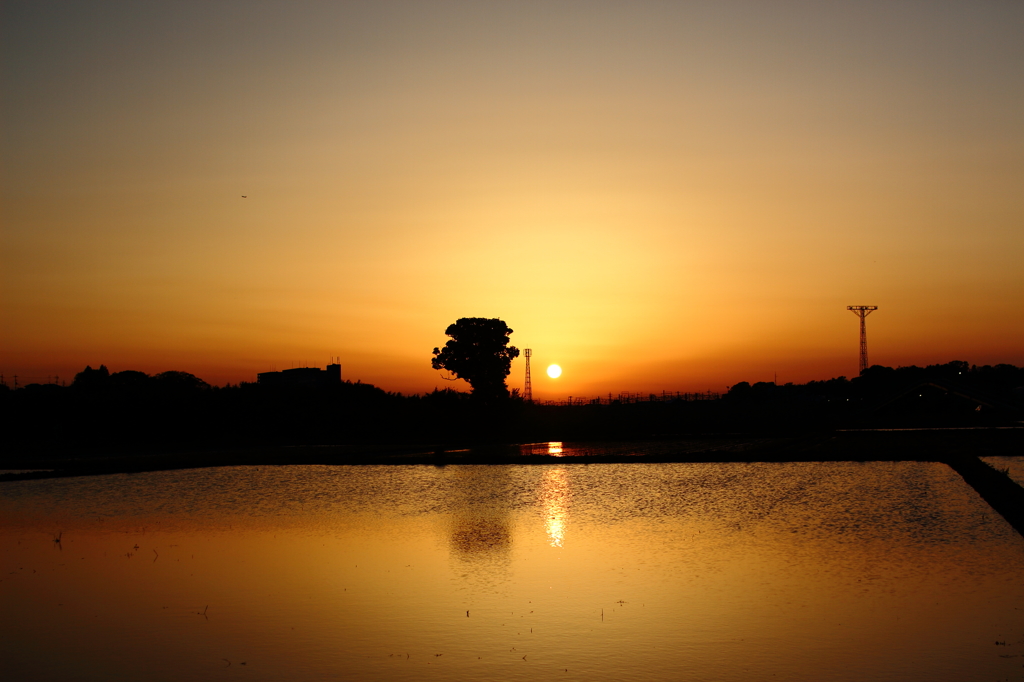 夕焼けダブル