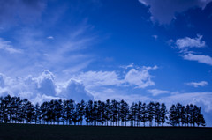 美瑛の空