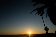 ここは南国桂浜