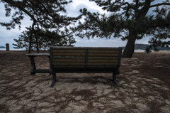 津田の松原 (ベンチ)
