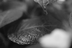 なみだの落ちる場所