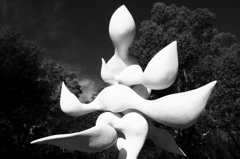 樹人(taro okamoto)