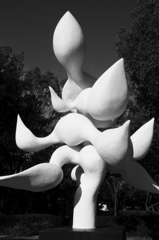 樹人(taro okamoto)