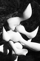 樹人(taro okamoto)