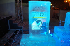 氷漬けの