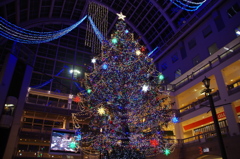 下からクリスマスツリーを
