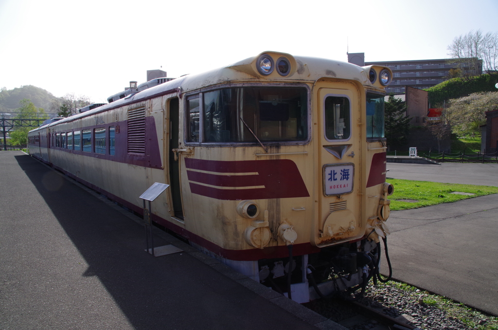 IMGP3504