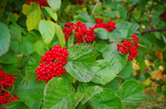 滝野公園２