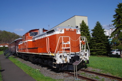 IMGP3386