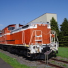IMGP3386