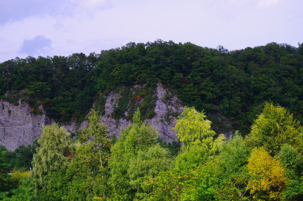 グラデーション