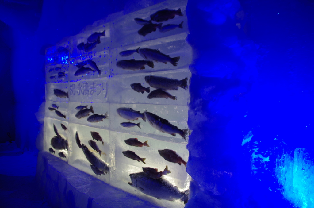 氷の水族館