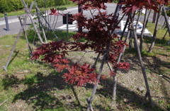 里も