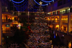 ２０１７年サッポロファクトリークリスマスツリー