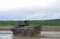 IMGP7031