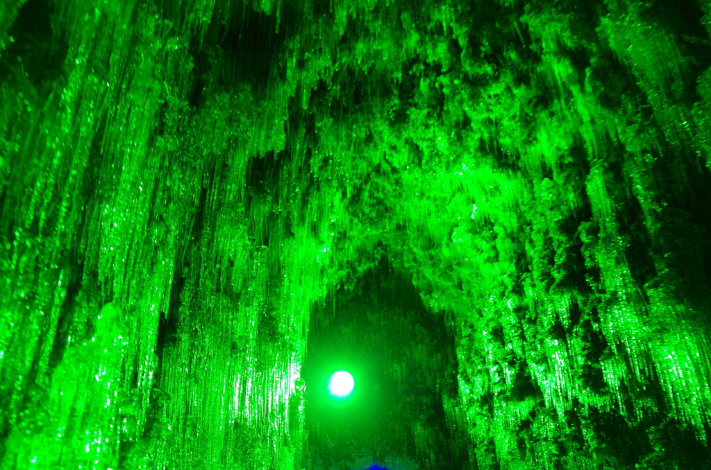 杉の木と+緑