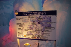 今年は