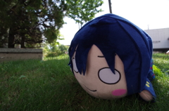 海未ちゃん　友達の縫いぐるみですがｗ