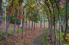 滝野公園