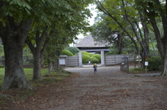 国産の古いレンズで３。秋の始まり