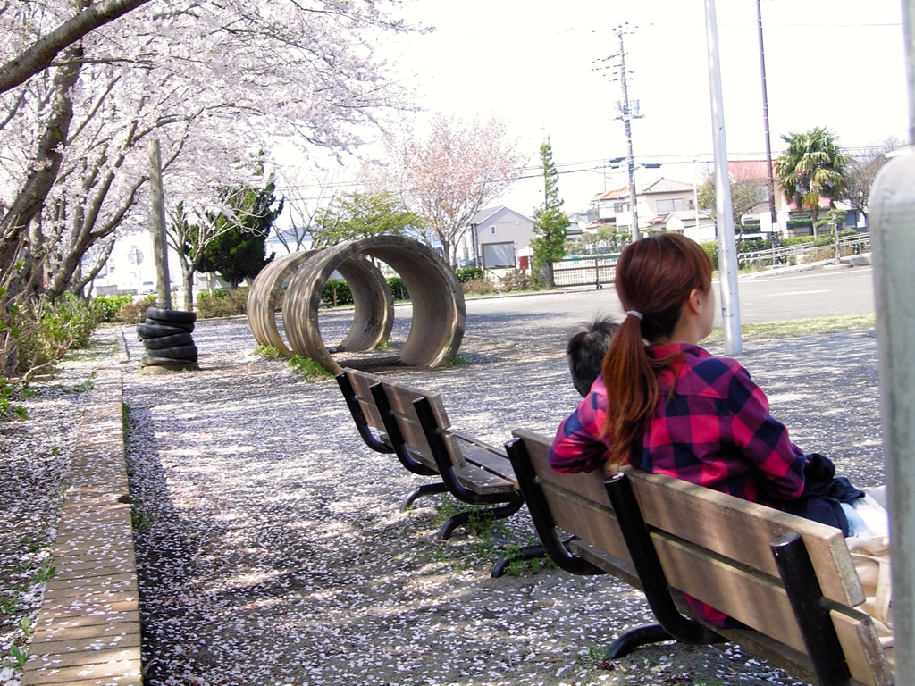 CONTAX Tvs DIGITALだよーん