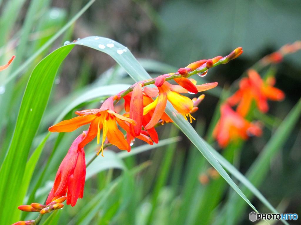 まだ雨が止まないんだよーん