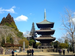 芝山仁王尊　観音教寺