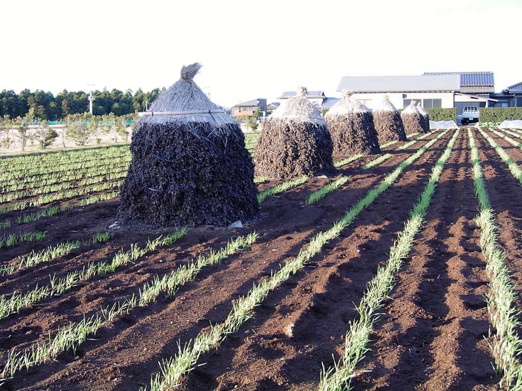 これは何でしょう？