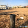 年が明けて・・・