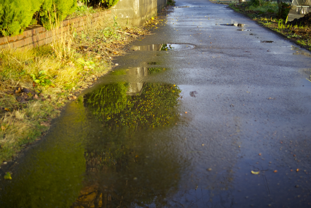 雨あがり