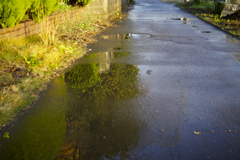 雨あがり