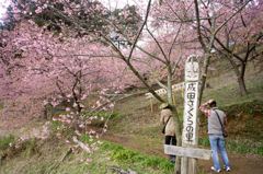 「平成の花咲か爺」に感謝