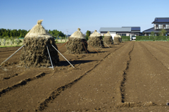 POLARIZERフィルターで