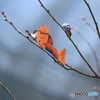 散歩の途中で