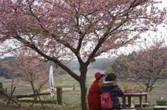 「平成の花咲か爺」に感謝