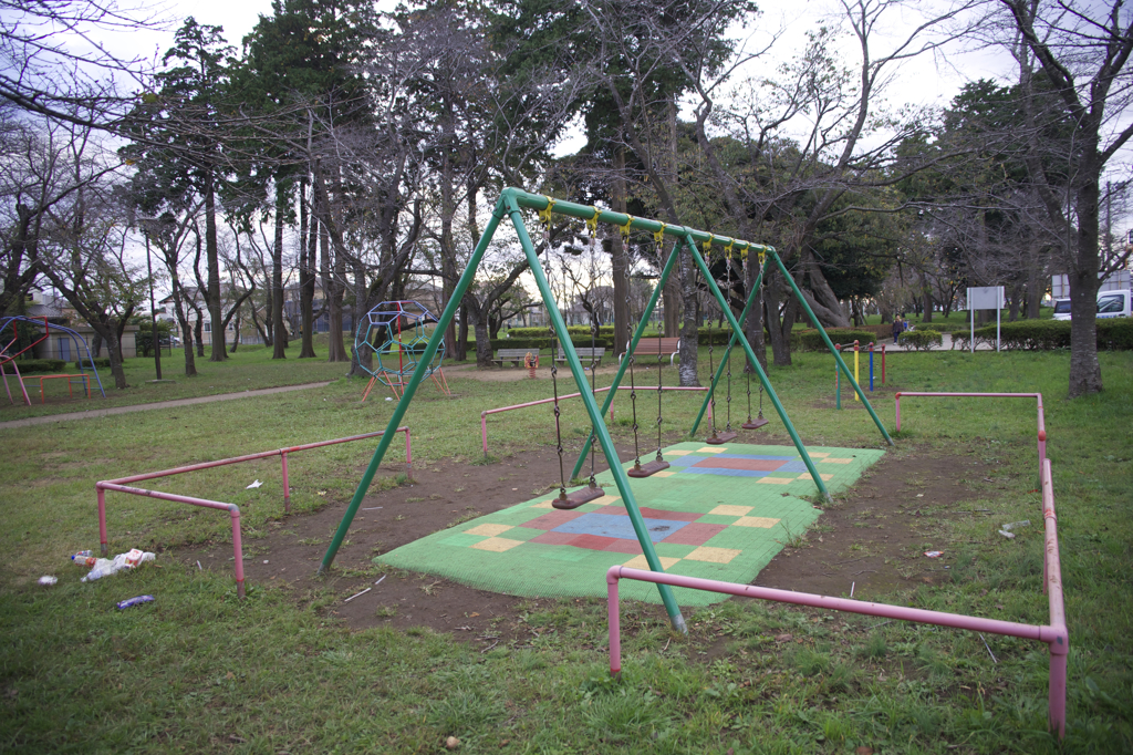 お散歩　初撮影