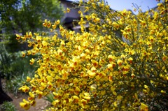 風が邪魔だよーん