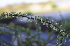 雨が上がったよーん