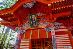 稲敷市 大杉神社にて