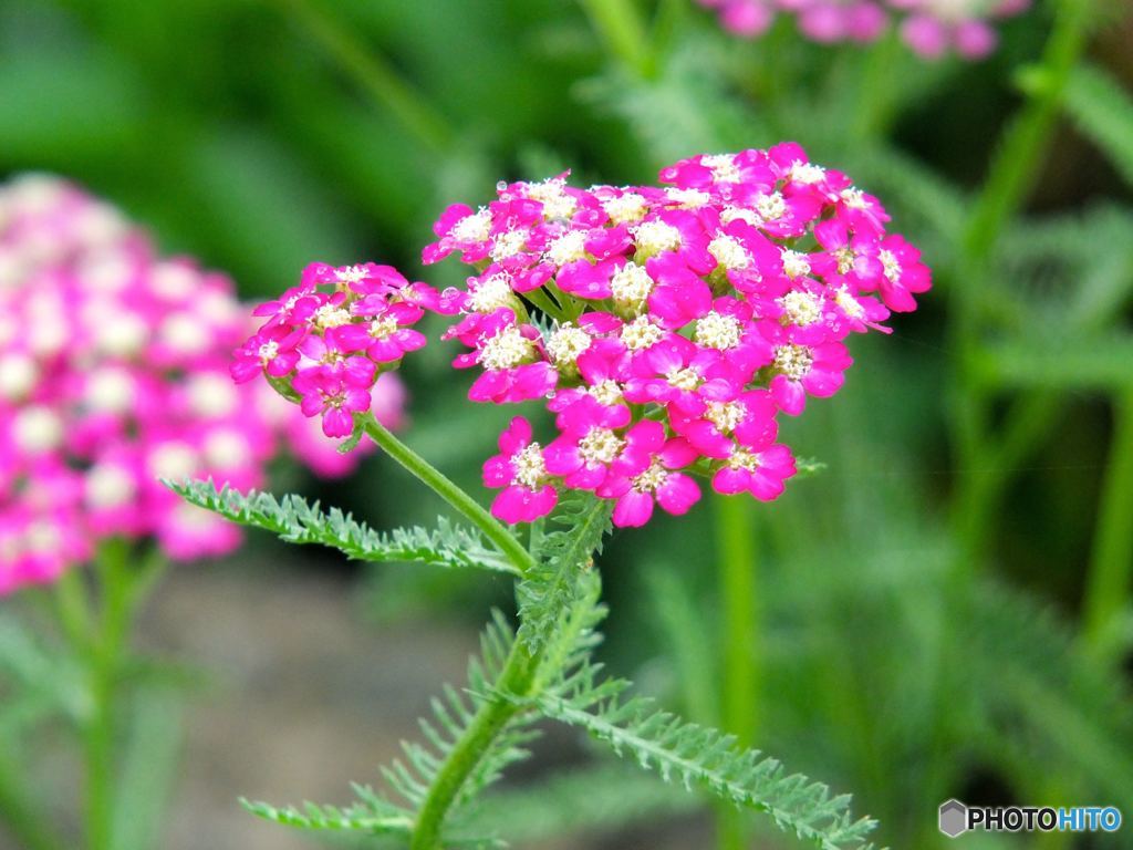 雨が止まないんだよーん