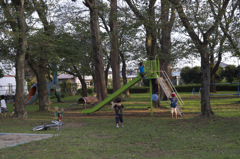 α7とオールドレンズ