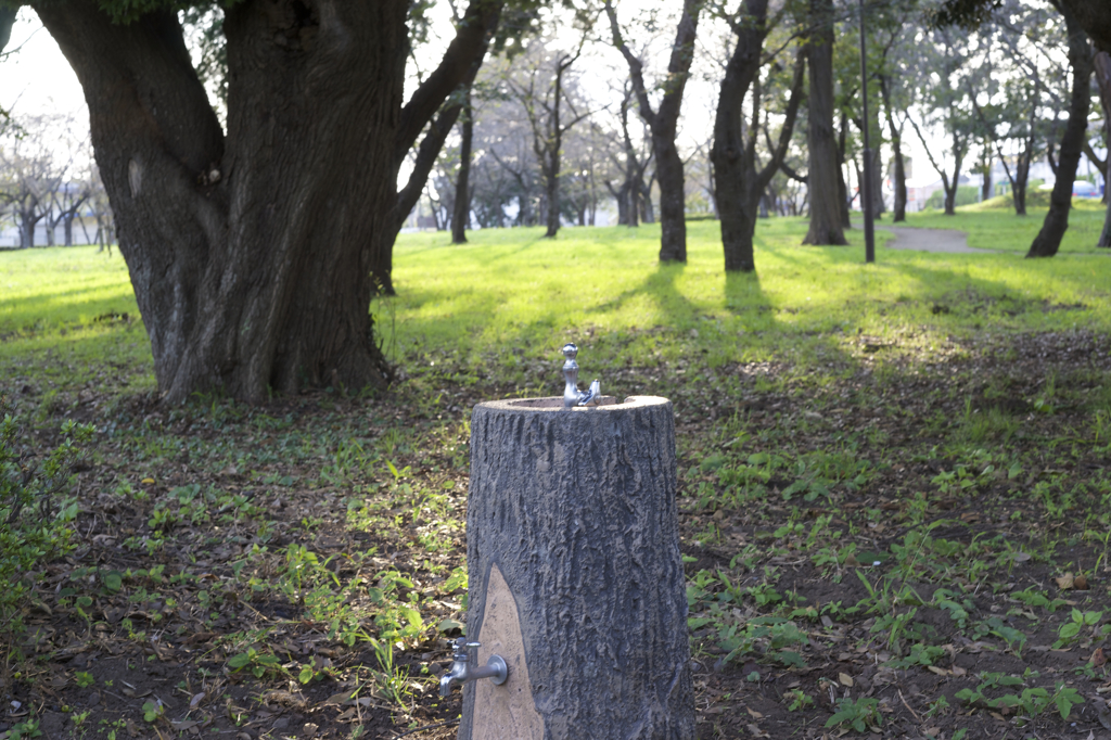 α７とオールドレンズ