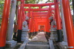 稲敷市 大杉神社にて