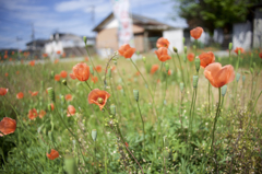 風が邪魔だよーん