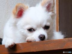 雨が止まないんだよーん