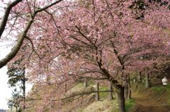 「平成の花咲か爺」に感謝