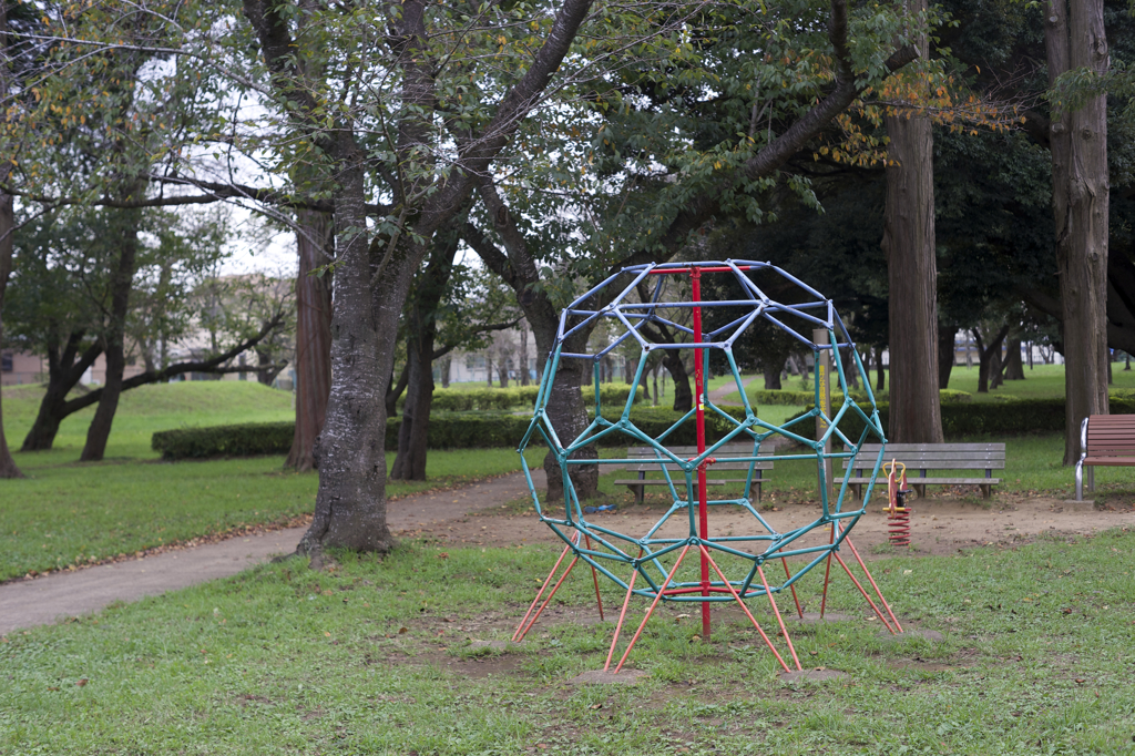 国産の古いレンズで３。秋の始まり