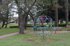 国産の古いレンズで３。秋の始まり