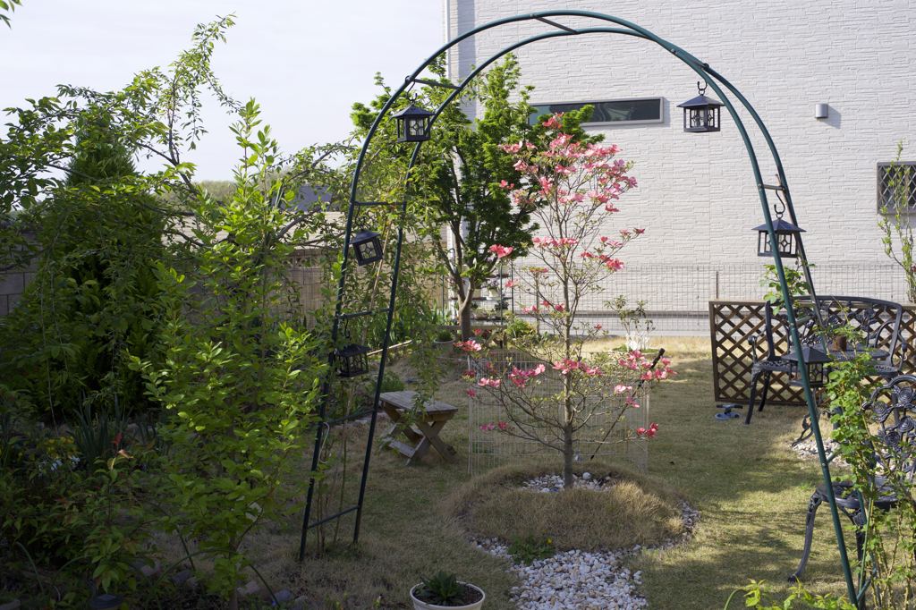 ARマウントのコニカだよーん