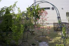 ARマウントのコニカだよーん